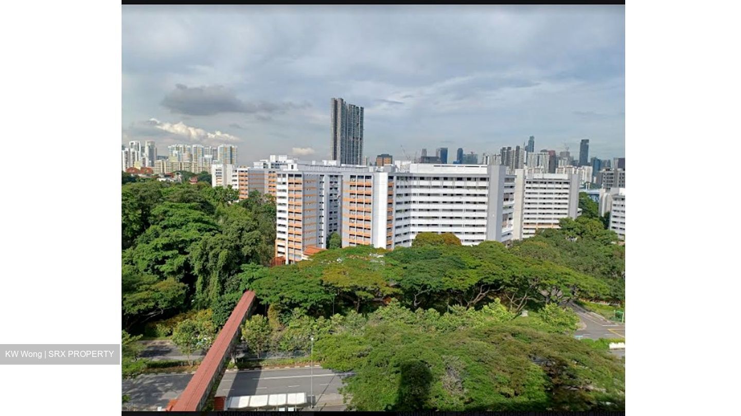 Telok Blangah Rise thumbnail photo